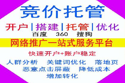 SEM推广策略：成功案例解析